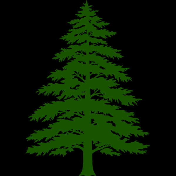 Tree Plant 3 Thumbnail