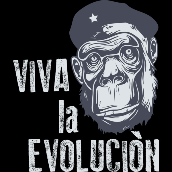 2016 03 14 025 Thumbnail